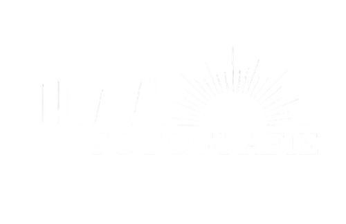 Noavi fotografie