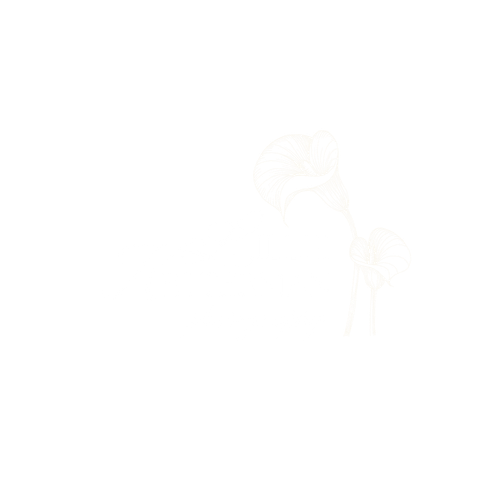 Lillie Ketterman Photography