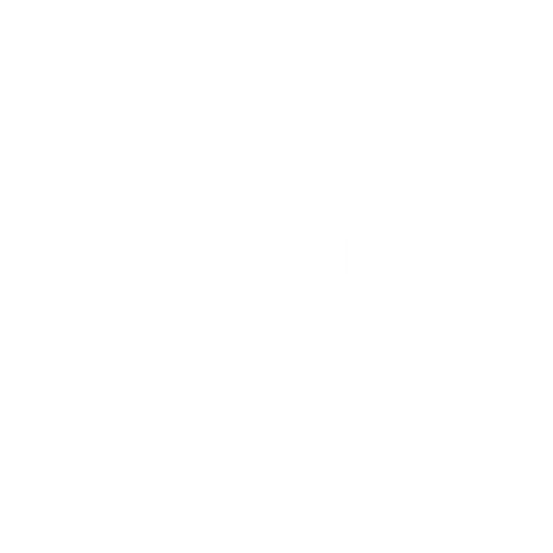 Little b Photography