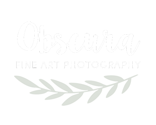 Obscura Fine Art
