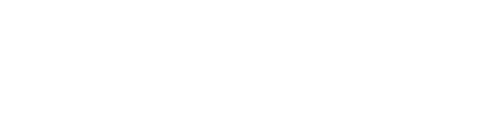Pyxidis