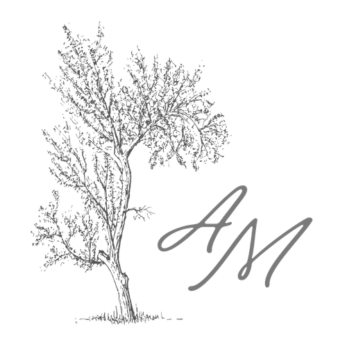 Ainsley Meadows Media
