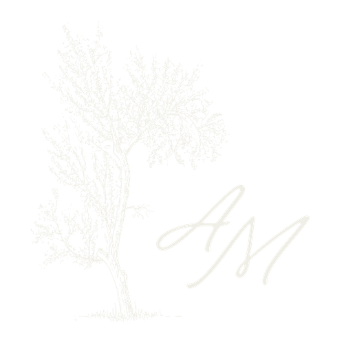 Ainsley Meadows Media