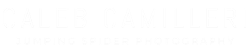 site-logo