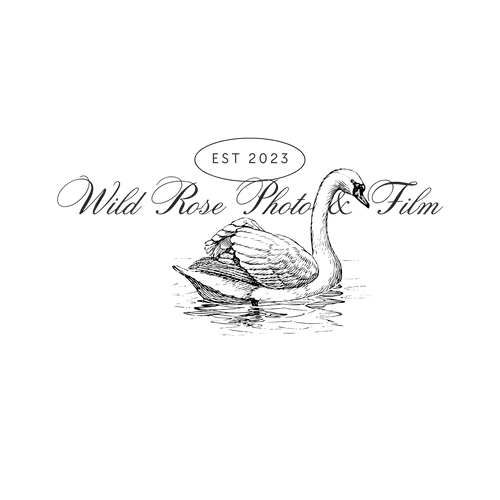 Wild Rose Photo and Film