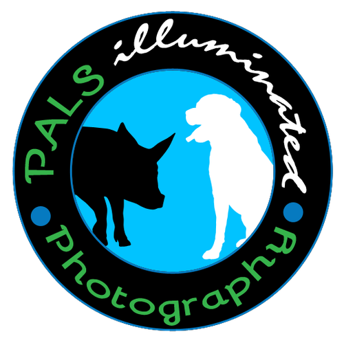 site-logo