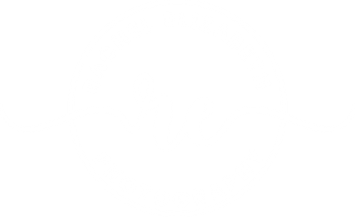 Rachel Elizabeth Photography