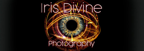 site-logo
