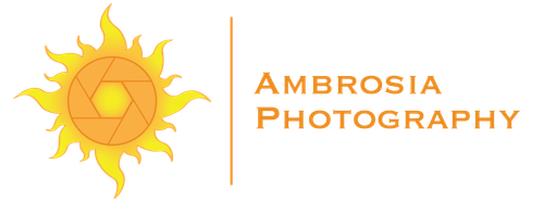 site-logo