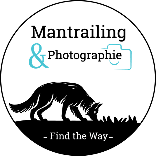 Find the Way - Nathalie Lemaire