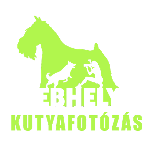 Ebhely.hu - Kutyafotózás