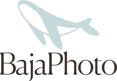 BAJA PHOTO