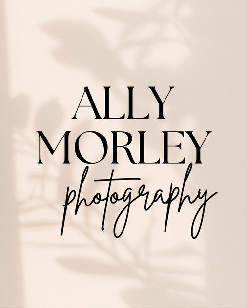 Ally Morley Photography