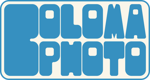 site-logo