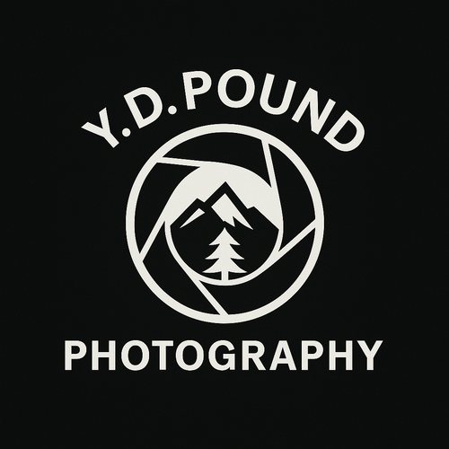 site-logo