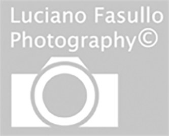 Lou Fasullo Wedding Photo Services