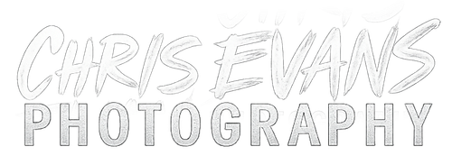 site-logo