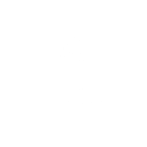 Daya Singh Photography