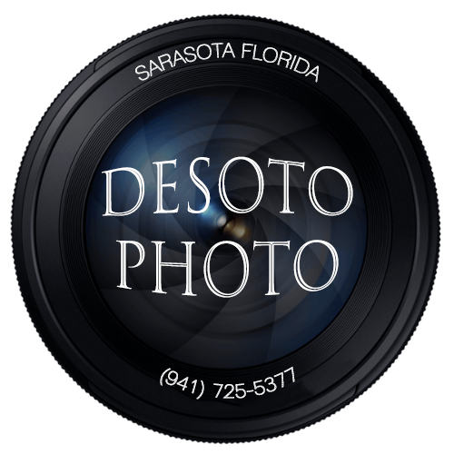 Desoto Photo