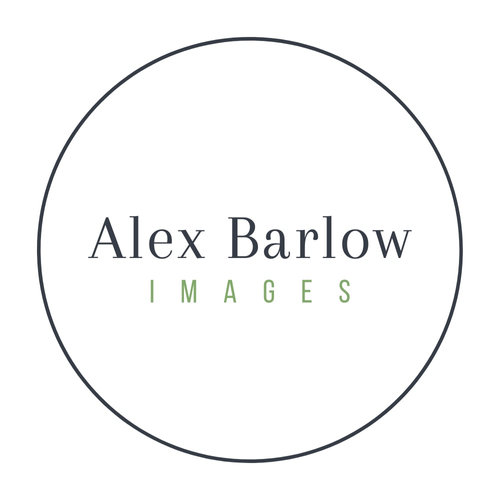 Alex Barlow images