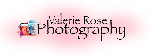Valerie Rose Photography