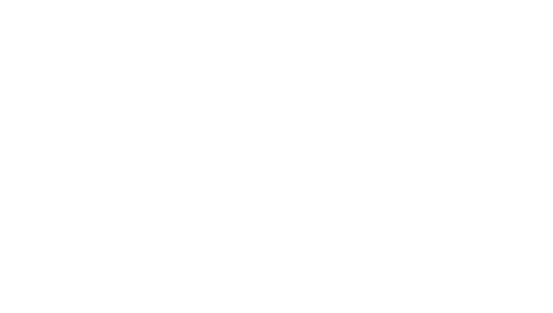 Tulips in August Photography