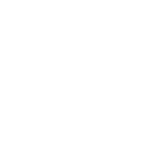 Lezlie Arguelles Photography
