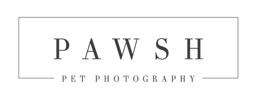 Pawsh Pet Photography