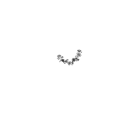 Jaymie Challis Photography