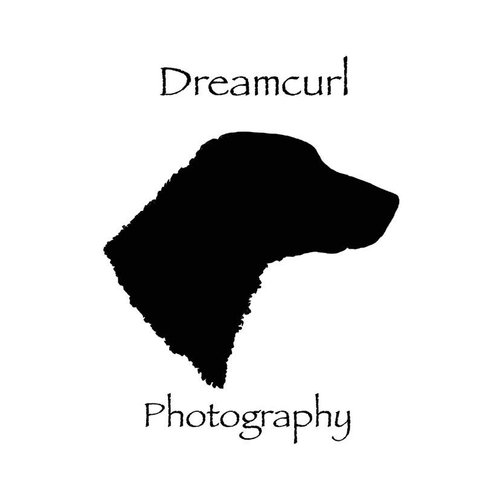 Dreamcurl Photography