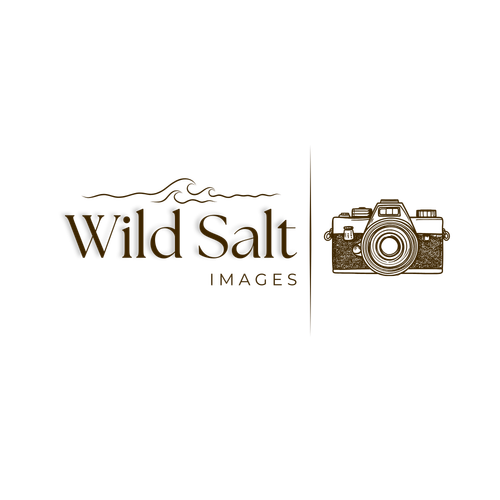 site-logo