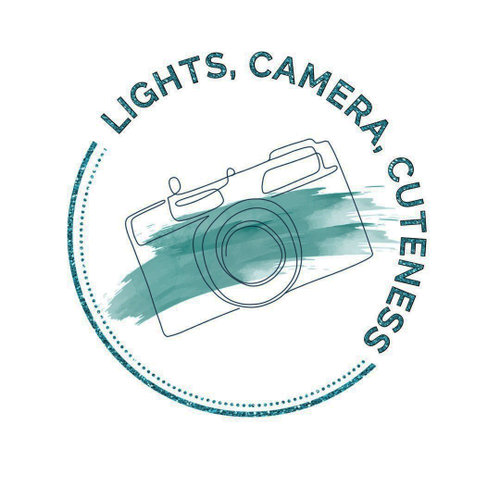 Lights, Camera, Cuteness