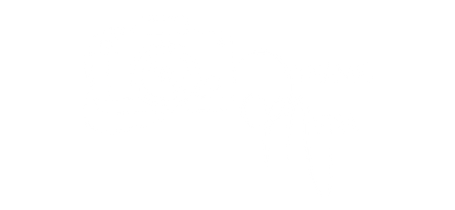 Dynamic Media