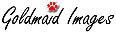 Goldmaid Images