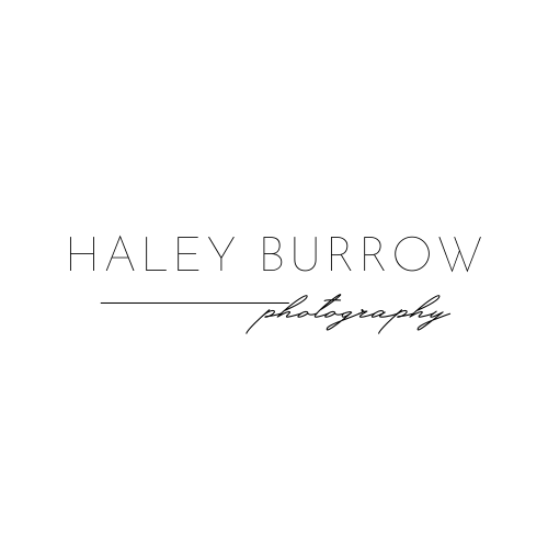 Haley Burrow Photography