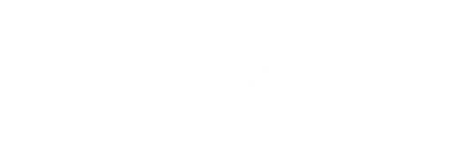 Bittersweet Memories Photography