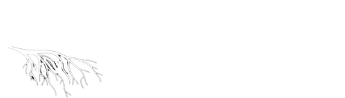 Iron Roots Photography