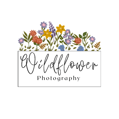 Wildflower Photography