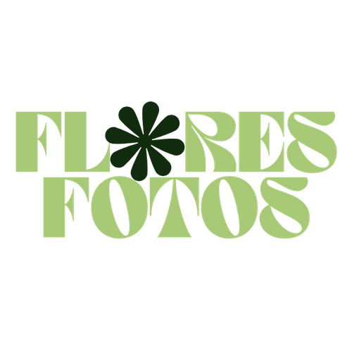 Flores Fotos