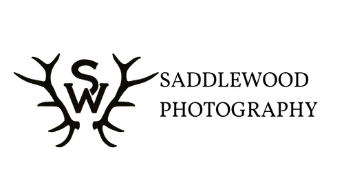 site-logo