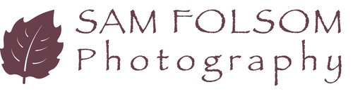 site-logo