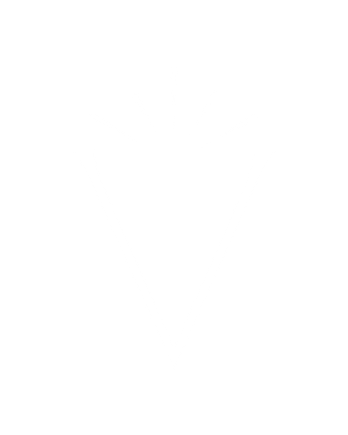 site-logo
