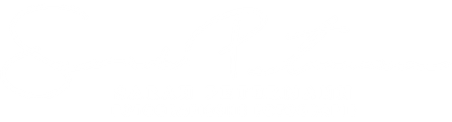 Fotografische Fotografie