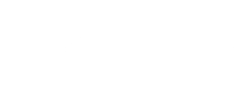 Whimsy Wild Co
