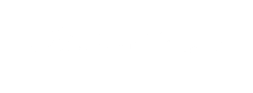 Modest Vision