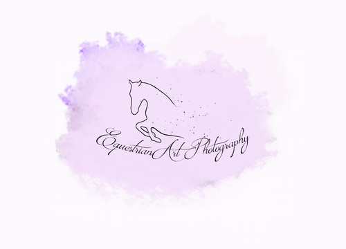 EquestrianArt Photography