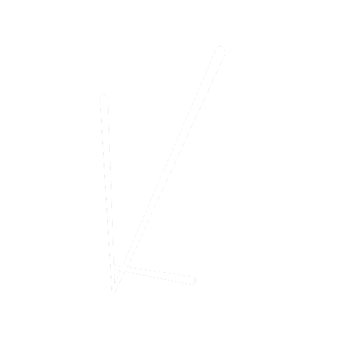 Vie Lum Visuals