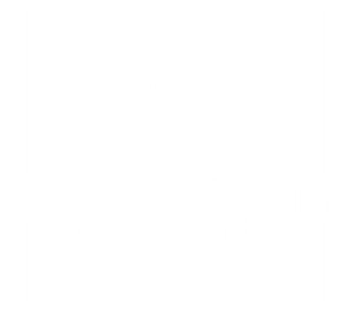Amanda Coley Photography