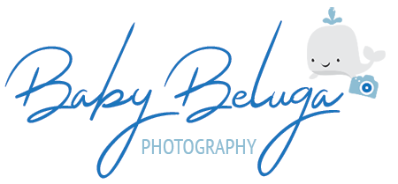 Baby Beluga Photography