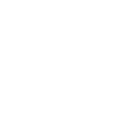 PixelSenseis